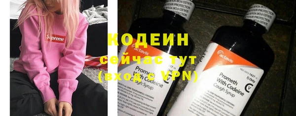 дурь Алзамай