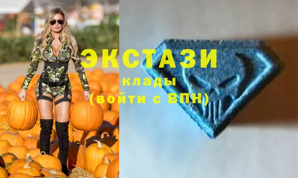 индика Алексин