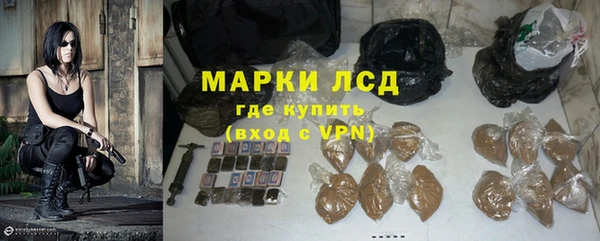 индика Алексин